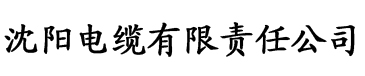 四虎影院在线播放视频电缆厂logo